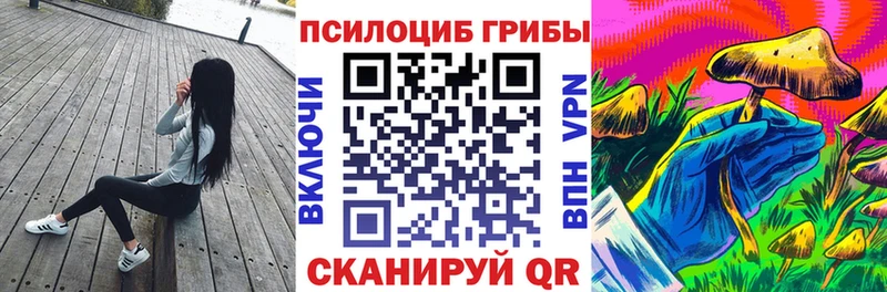 Купить где  Полярные Зори  Галлюциногенные грибы Magic Shrooms 
